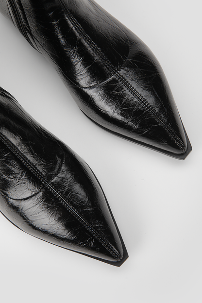 Pointed Ankle Boots