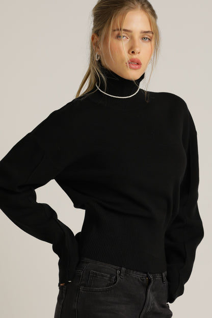 Cropped Long-Sleeve Turtleneck Knit