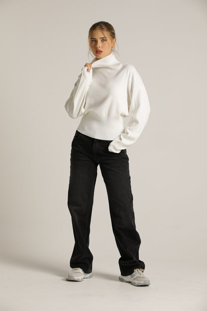 Cropped Long-Sleeve Turtleneck Knit